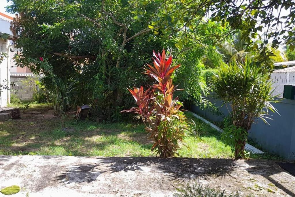 La Petite Maison, Spacieuse, Avec Jardin / Parking Sainte-Rose Exteriér fotografie