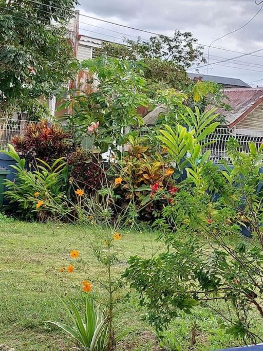 La Petite Maison, Spacieuse, Avec Jardin / Parking Sainte-Rose Exteriér fotografie